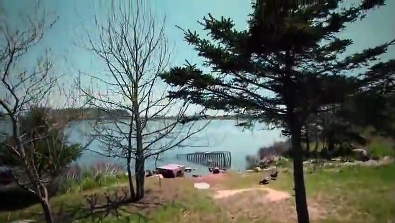 Hope in the Wild - Se1 - Ep08 HD Watch