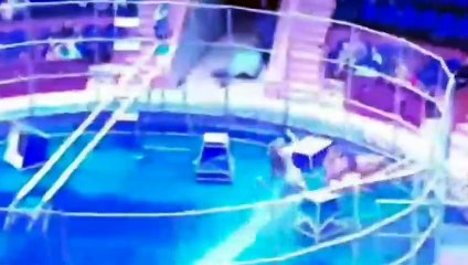 Domador se salva de ataque de león en plena función