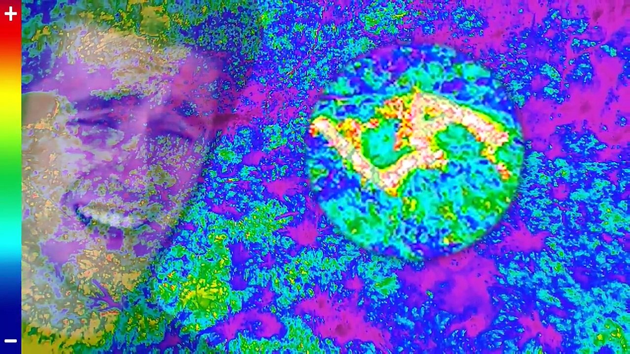 I Survived A Plane Crash