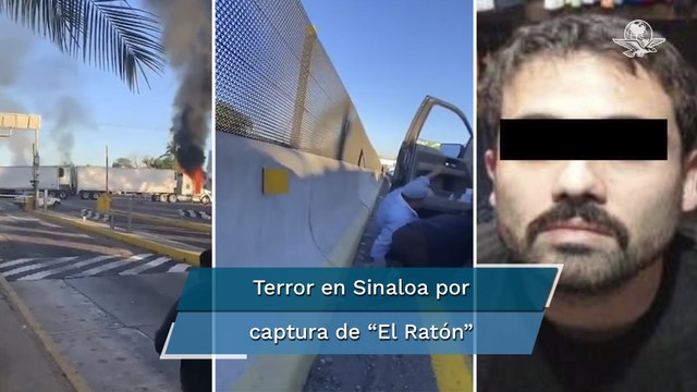 Por aire y por tierra, estas son las impactantes imágenes tras la detención de Ovidio 