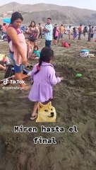 Perrita se vuelve viral en redes por su forma de tomar sol en la playa