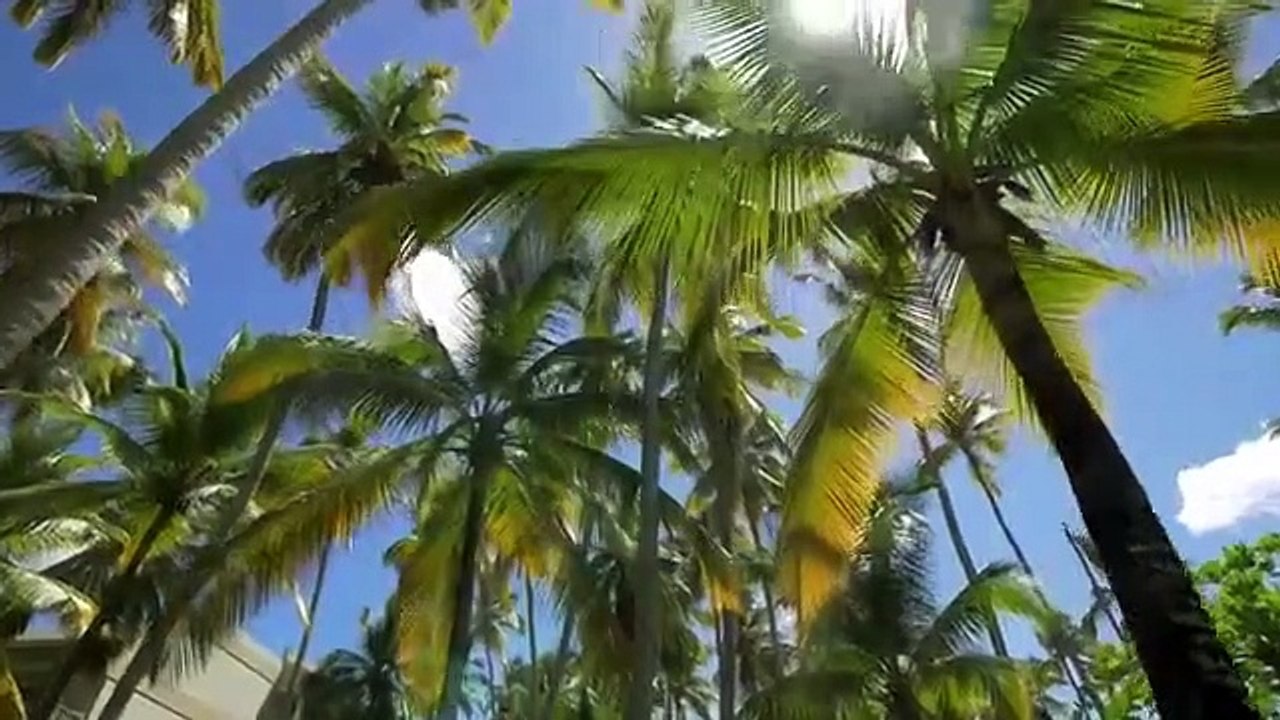 Baroness von Sketch Show - Se3 - Ep04 HD Watch