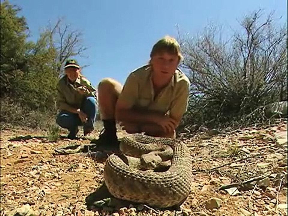 Crocodile Hunter - Ep26 HD Watch
