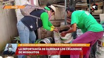 La importancia de eliminar los criaderos de mosquitos