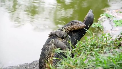 Explained - Se1 - Ep03 HD Watch