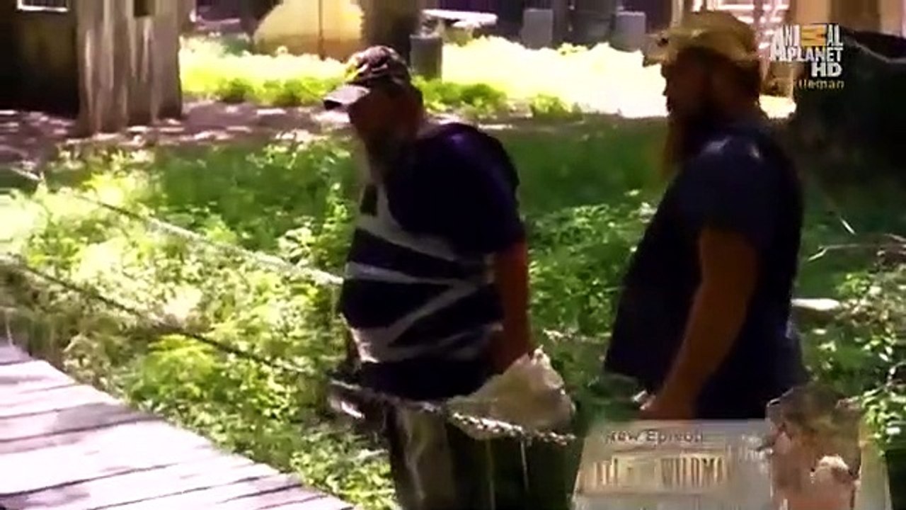 Call of the Wildman - Se3 - Ep26 HD Watch