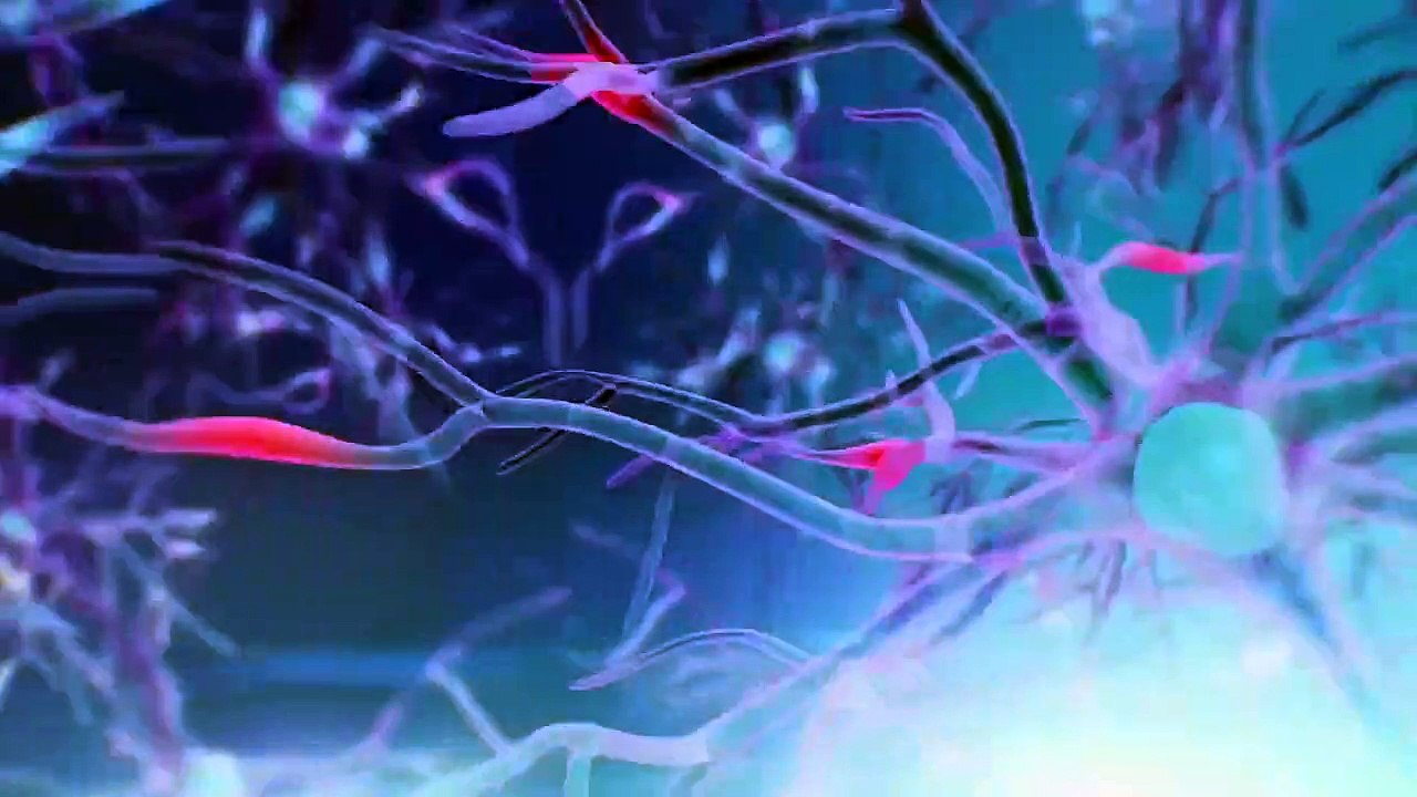 Decker - Se6 - Ep03 - DavidsonCare HD Watch