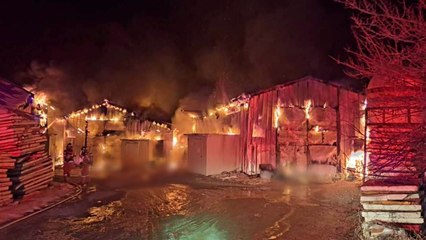 강원 횡성 양계농장서 불...닭 2만6천 마리 폐사 / YTN