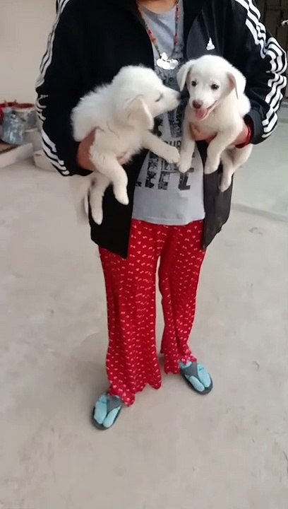 ##Cutie pie##