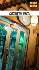 Yo llorando a mi gato porque no lo encontraba