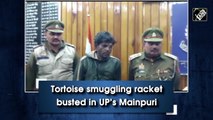 Tortoise smuggling racket busted in UP’s Mainpuri