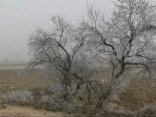 # El hinvierno en el Pla D'urgell #