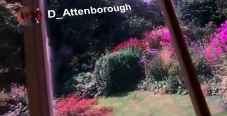 Spitting Image 2020 S01 E09