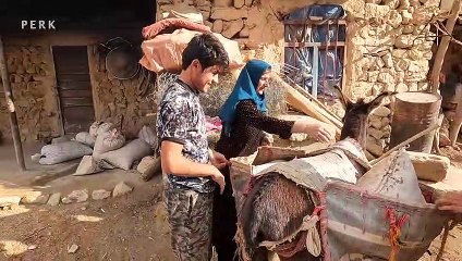 Taking the Acorns to the City to Sell  Villagers in Iran