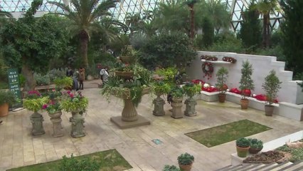 "미세먼지 피해서 식물원으로!"...실내 시설 '인기' / YTN