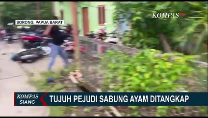 Скачать видео: 7 Pelaku Judi Sabung Ayam Diringkus Tim Gabungan Satreskrim Polres Sorong Kota