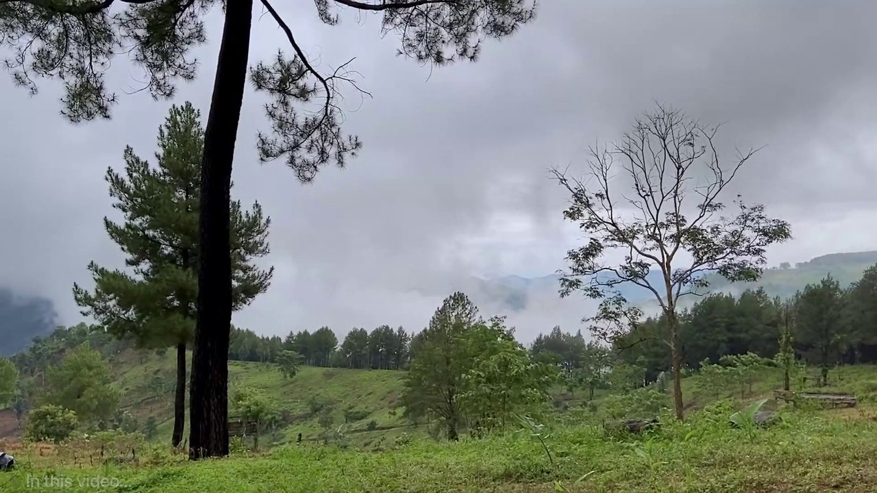 solo camping - camping with thunderstorm overnight - asmr