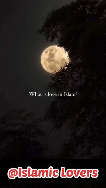 What is love in Islam? #allah #subhanallah #alhamdulillah #allahuakbar #astaghfar