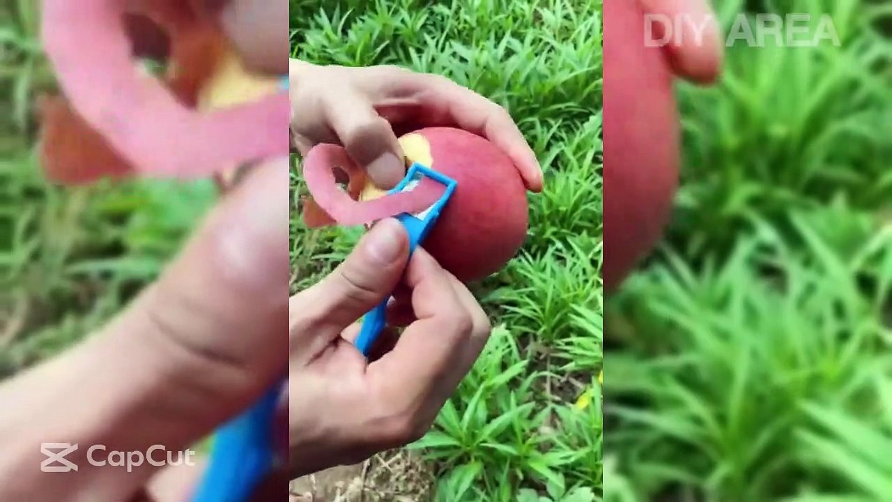 Plant Binder