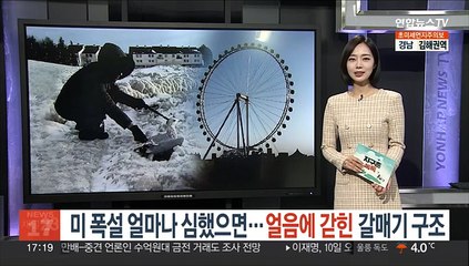 [지구촌톡톡] 미 폭설 얼마나 심했으면…얼음에 갇힌 갈매기 구조 外