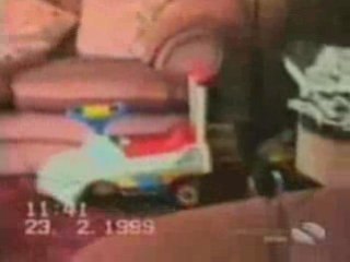 chiens en folie sur du jump