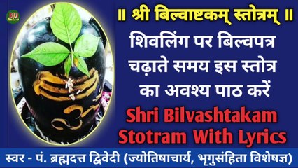 Descargar video: श्री बिल्वाष्टकम् स्तोत्रम् | शिवलिंग पर बिल्व पत्र चढ़ाते समय इस स्तोत्र का अवश्य पाठ करें | Shri Bilvashtakam Stotram | स्वर - पं. ब्रह्मदत्त द्विवेदी (ज्योतिषाचार्य, भृगुसंहिता विशेषज्ञ)