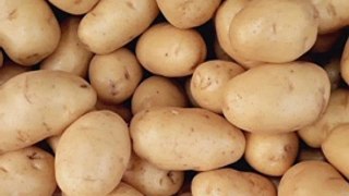 Aloo Kachaloo Beta | 3 Intresting Facts | #shorts #factsinhindi #shortsfactsvideo #viral #trending #facts #vegetable #knowledge #information  #intrestingvideo #smallvideo #shortvideo #science #crop #potato #potatoes #grow