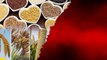 Health కి Millets చేసే లాభాలు.. ఇలా తినండి.. ఆరోగ్యాన్ని కాపాడుకోవచ్చు.. *Health | Telugu OneIndia
