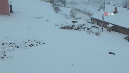 Posof kara teslim oldu