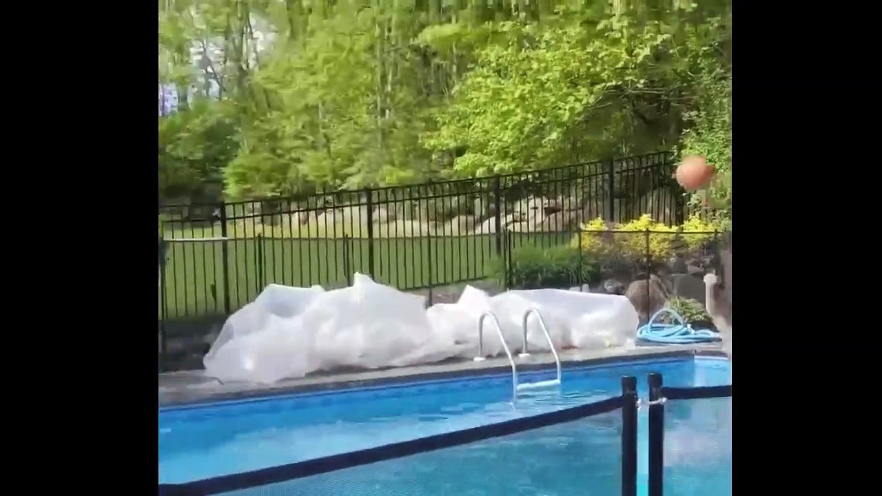 Funny Video
