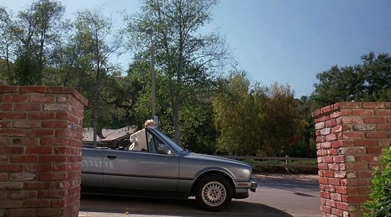 Apariencia Engañosa 1998 Español Latino - Stranger in My House - Total Stranger