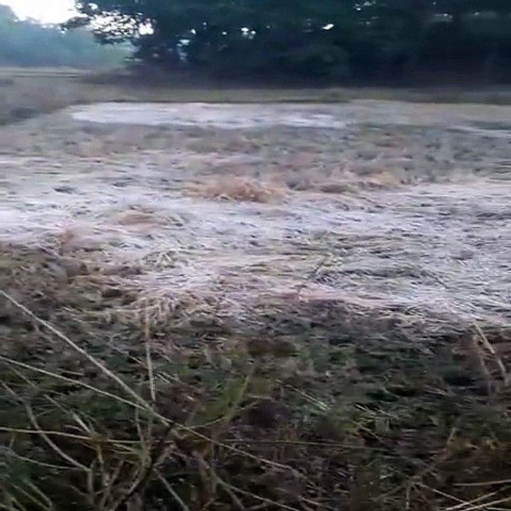 छत्तीसगढ़ में कड़ाके की सर्दी: बर्फ की सफेद चादर...