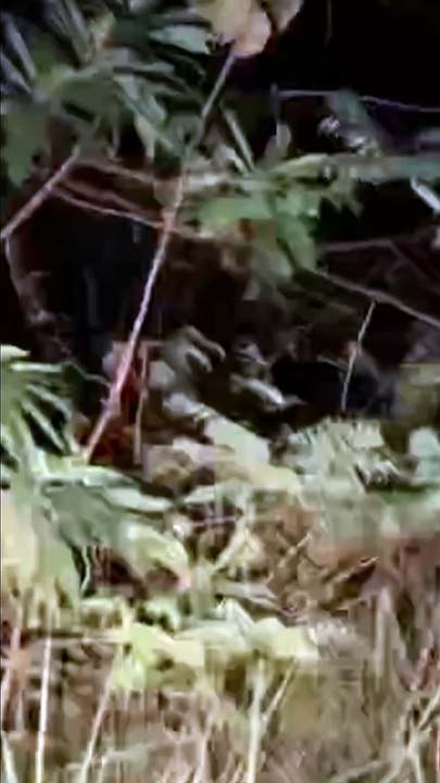 Paranormal activity ghost on camera part 51