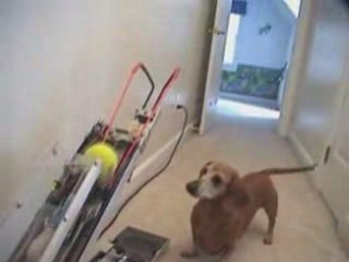 Lance balles automatique !