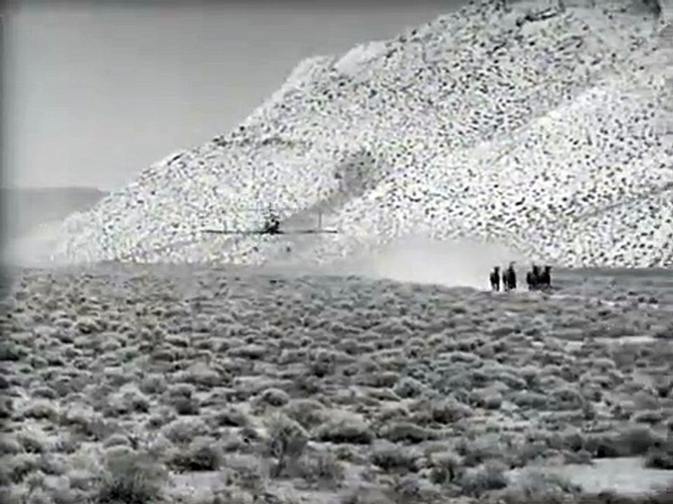 Les désaxés Bande-annonce (RU)