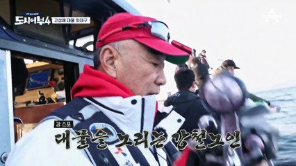 자연산 돌고래 쇼에 흠뻑~♥ 하지만 돌고래 때문에 고기는 다 도망간다?!