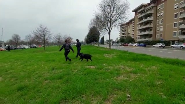 Cani avvelenati a Firenze, bonifica dell'unità cinofila