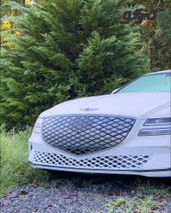 جينيسيس G80 2023-تيربو ستوري