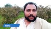 Gaon Ki Subha Or Khubsoorat Nazara || Village Tour || Village Life || Rana Shahzad Vlogs