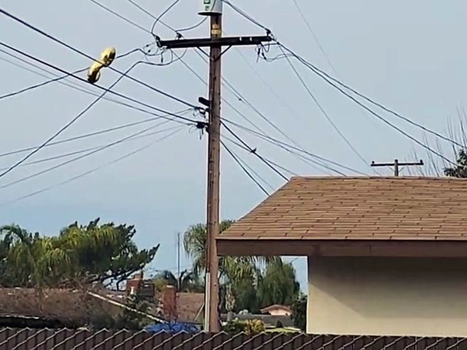 Mylar Balloon Luckily Slips Through Powerlines