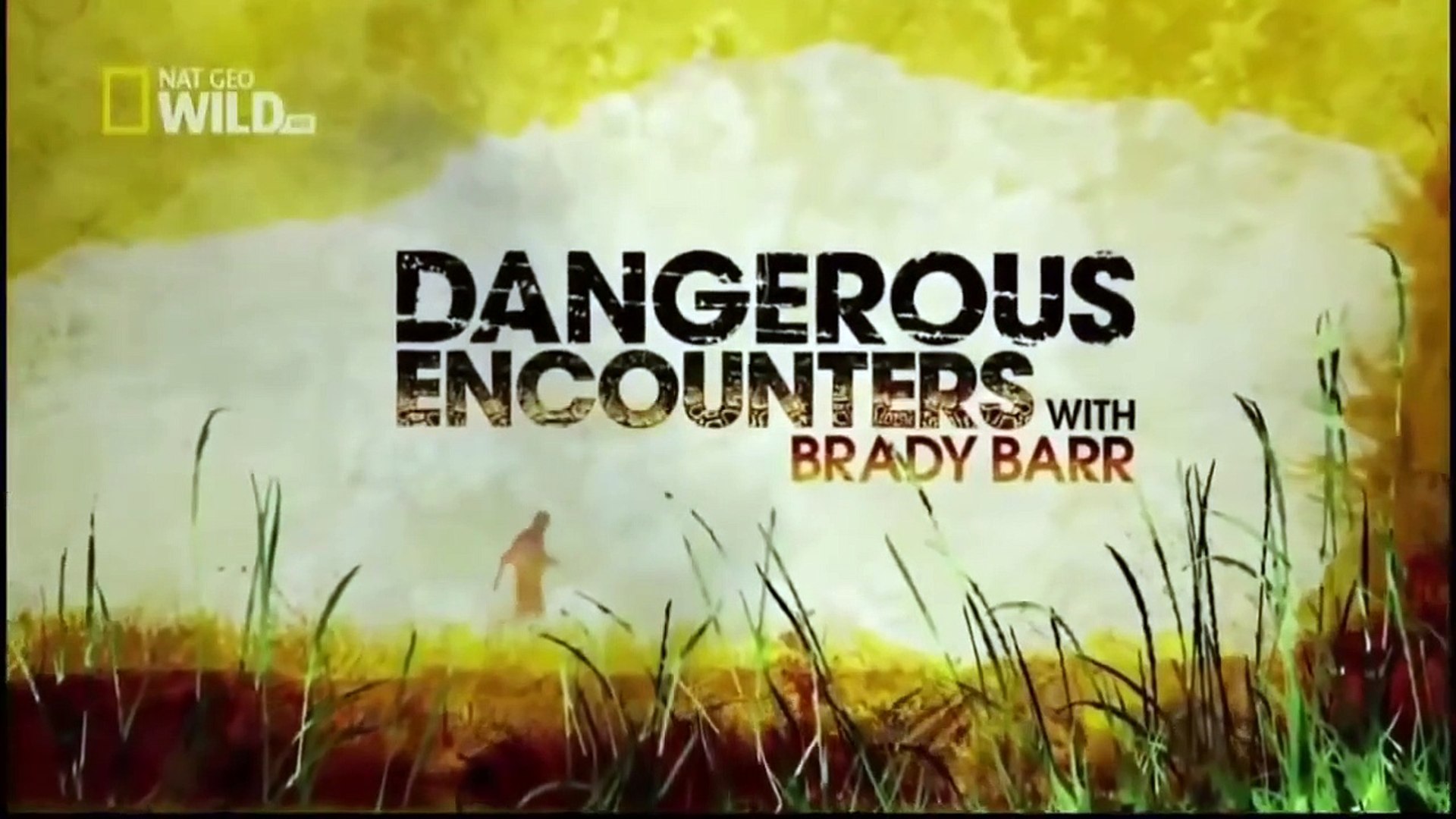 ⁣Documentaries discovery channel   King cobra  animal planet documentary   wildlife animals