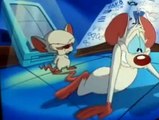 Pinky and the Brain Pinky and the Brain S01 E003 Tokyo Grows / That Smarts / Brainstem
