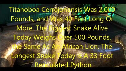 Animal Fight Club Season 1 Episode 11 Titanoboa Cerrejonensis Vs Deinosuchus Rugosus