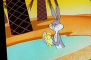 Looney Tunes Golden Collection Looney Tunes Golden Collection S04 E010 Sahara Hare