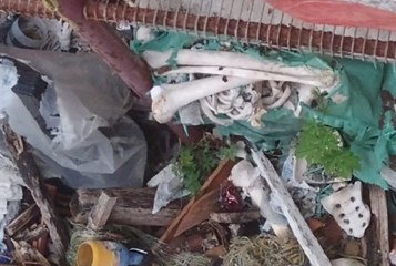 Na Paraíba, mãe lavava ossos do filho e pendurava-os dentro de casa e ossada é achada anos depois