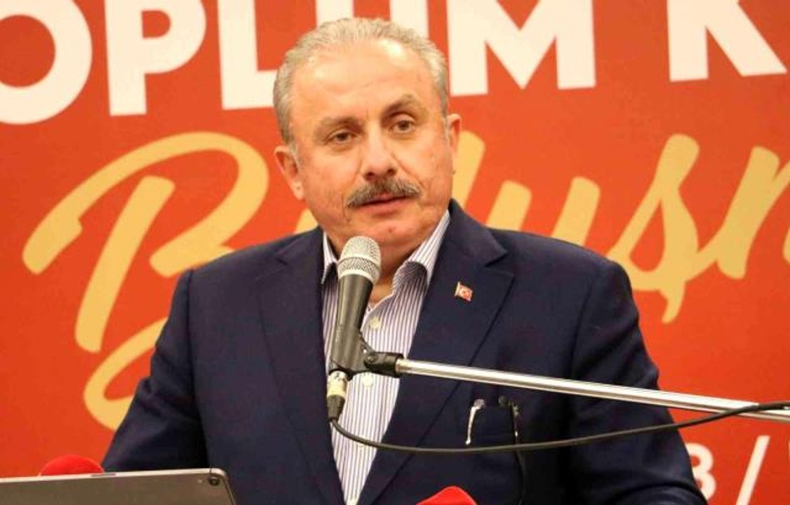TBMM Başkanı Şentop'tan Prens Harry'ye sert tepki: "Avrupalı beyaz çocuk, sen kimsin?"