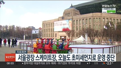 서울광장 스케이트장, 오늘도 초미세먼지로 운영 중단