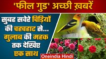 Morning Birds | Migratory birds | Rose | shirdi sai baba | Hisha Baghel Agniveer | वनइंडिया हिंदी