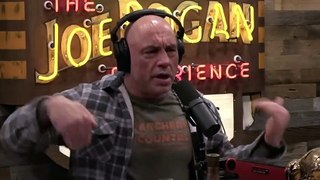 Joe Rogan- Secrets Of Hunting & The SAVAGENESS Of Grizzly Bears, Praying Mantis, Spiders & Nature!