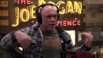 Joe Rogan- Secrets Of Hunting & The SAVAGENESS Of Grizzly Bears, Praying Mantis, Spiders & Nature!